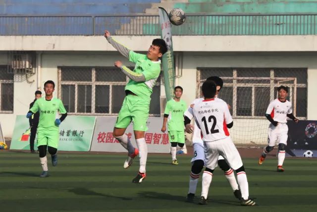 施洛特贝克退出国家队，无需手术治疗